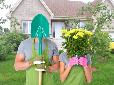 Comprehensive gardening services offered by Willesden gardeners